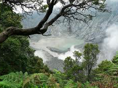 images2