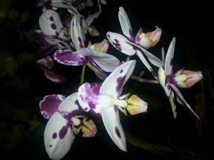 20130428_214354