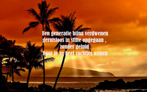 palmbomen