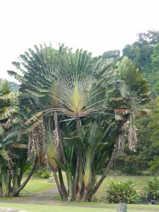 P1160885