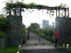 p11709071